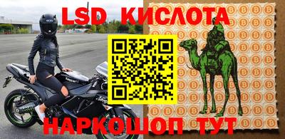 прущие грибы Тула
