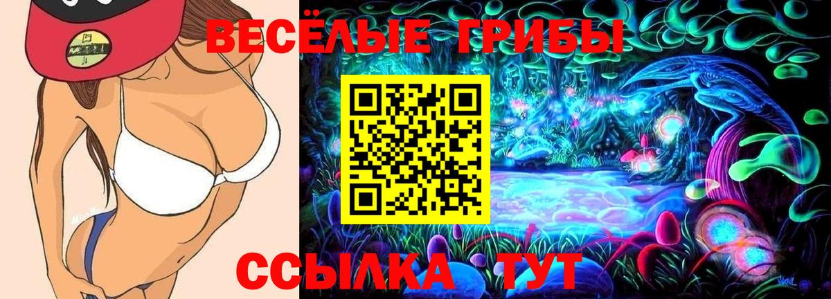 Псилоцибиновые грибы Magic Shrooms Новоалтайск