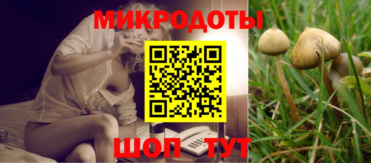 Галлюциногенные грибы прущие грибы  Псилоцибиновые грибы Cubensis  Новоалтайск  Вход с VPN 